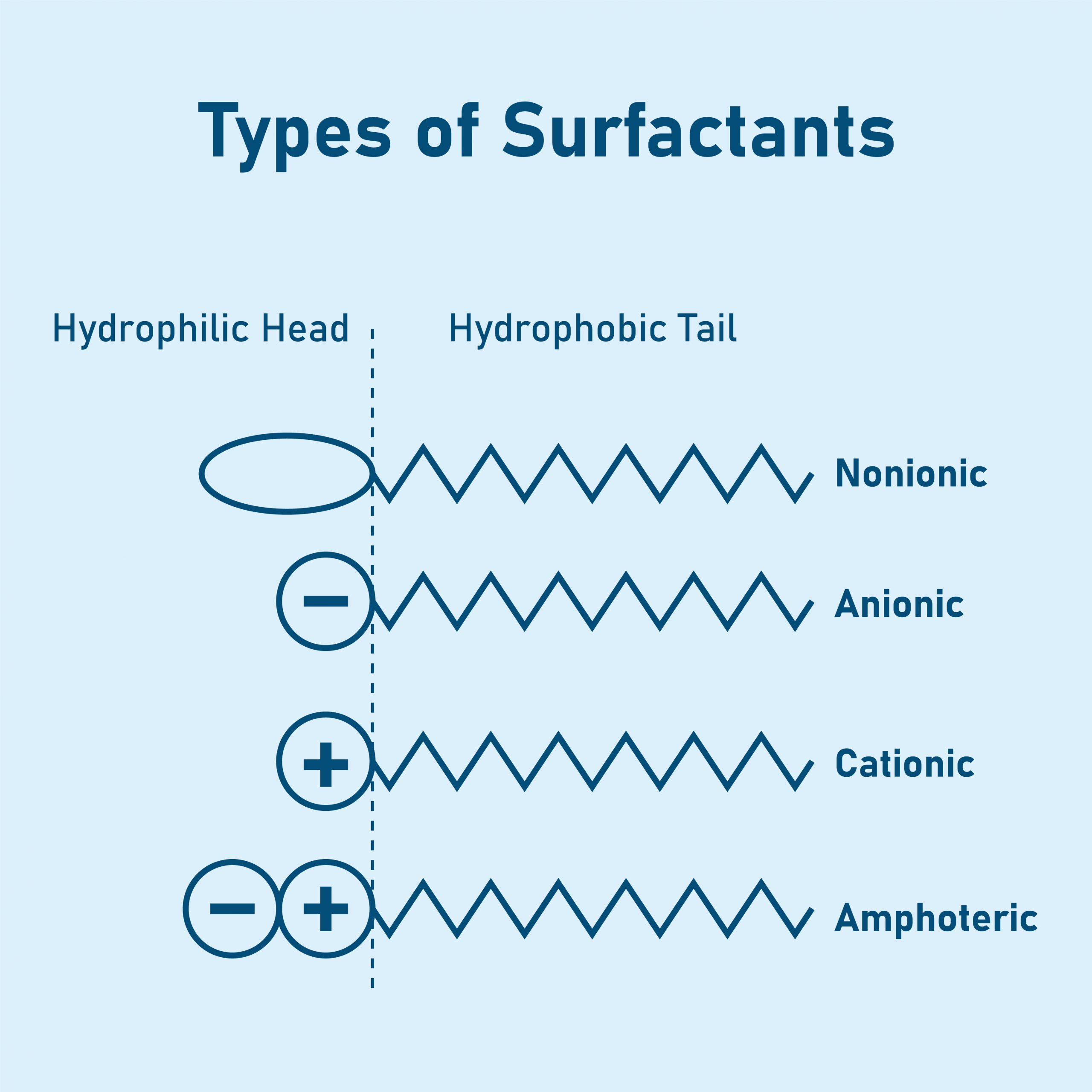Illustration of anionic, cationic, nonionic, and amphoteric surfactants